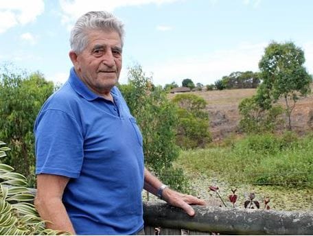 QLD retirement village resident bitten by tiger snake – after picking it up