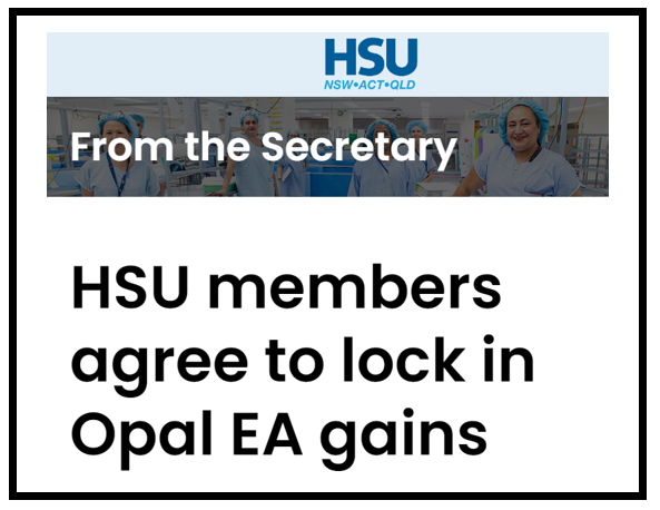 Health Services Union splits with nurses body over Opal HealthCare pay offer