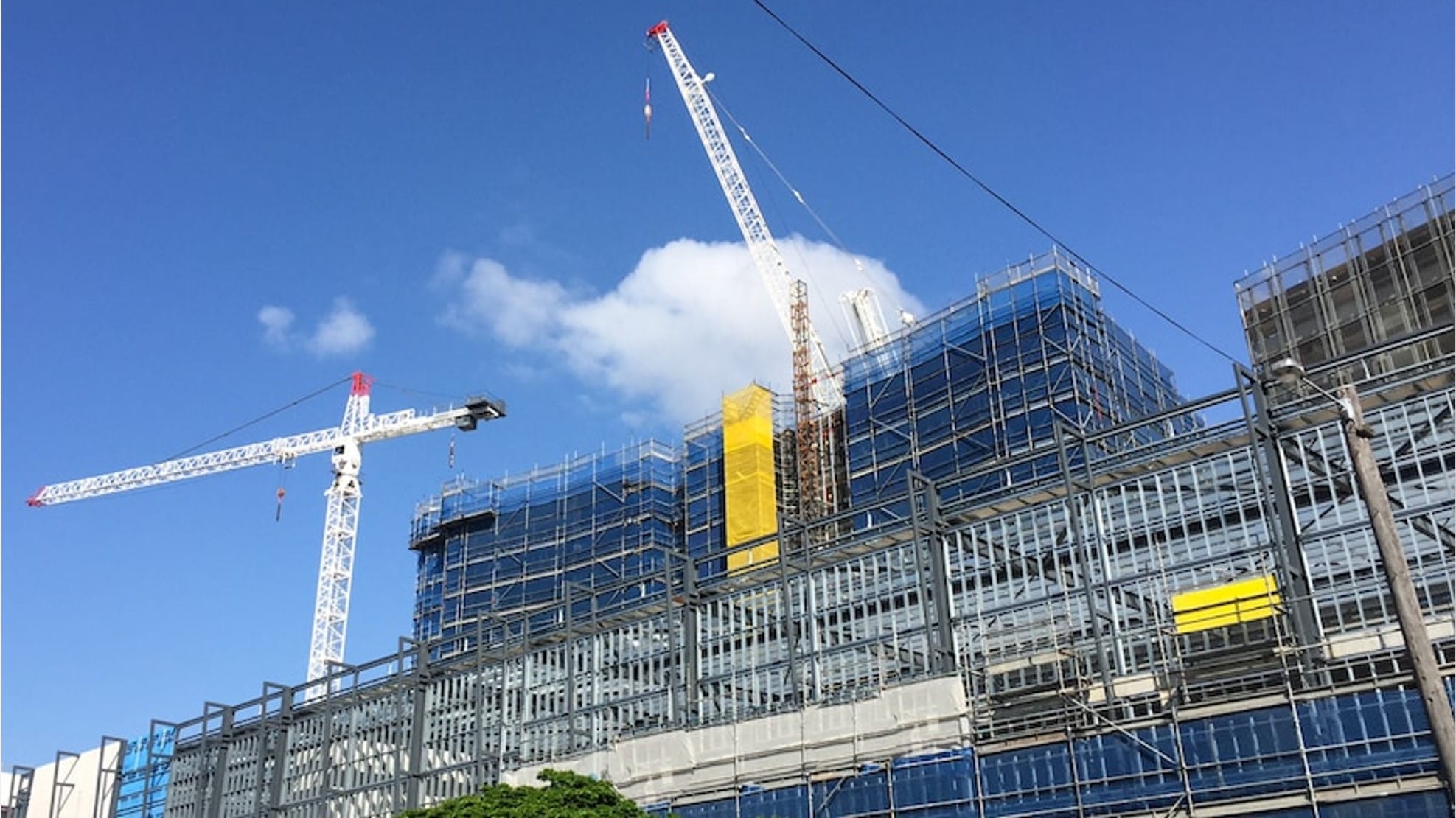 Build to Rent laws passed with forecast of 80,000 rental homes in 10 years