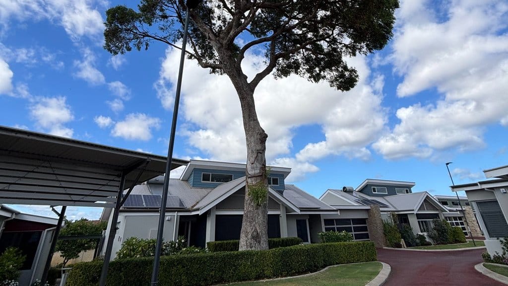 Council deny this 18ft high tree at Perth retirement village is a danger