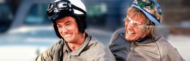 Dumb and Dumber. Two men jailed with firearms offences after village break-in