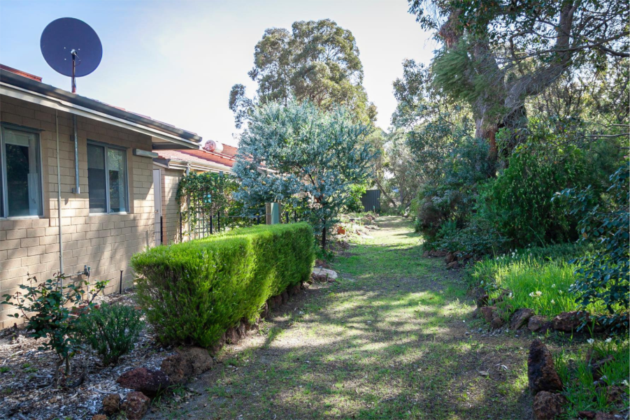 A yard with bushes and trees

AI-generated content may be incorrect.