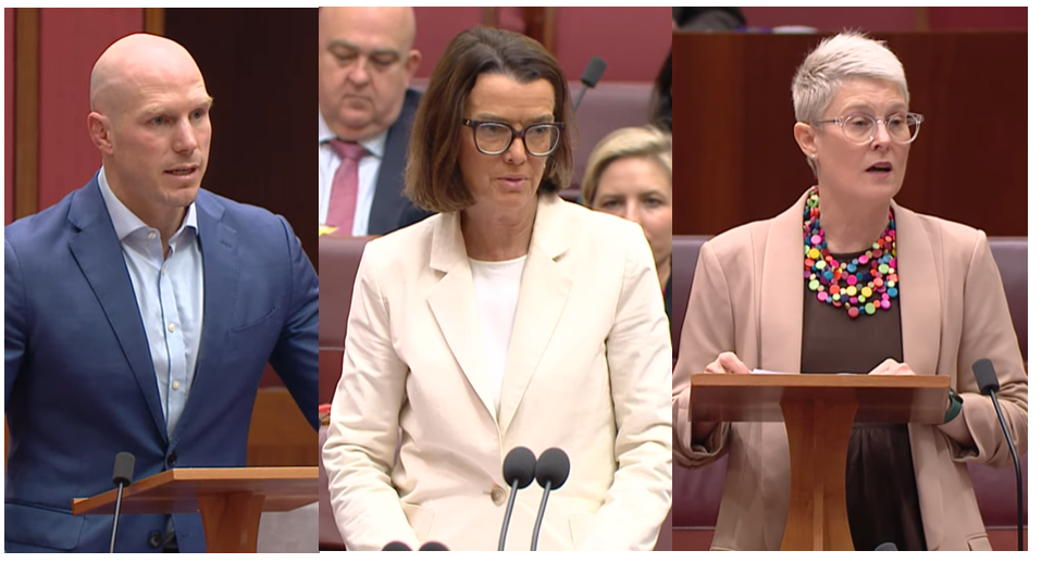 Unlikely Senate alliance set to defeat Govt bill and force release of 40,000 Home Care Packages