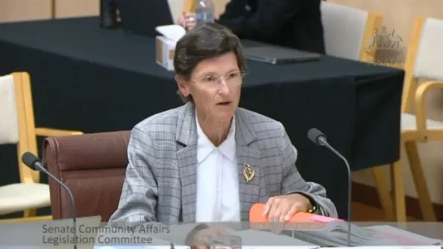 Contractors made 217 aged care home audits, compared to 42 by staff in six months post image