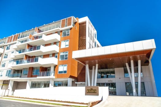 Tulich Moves onto stage two of Penrith Panther Expansion post image