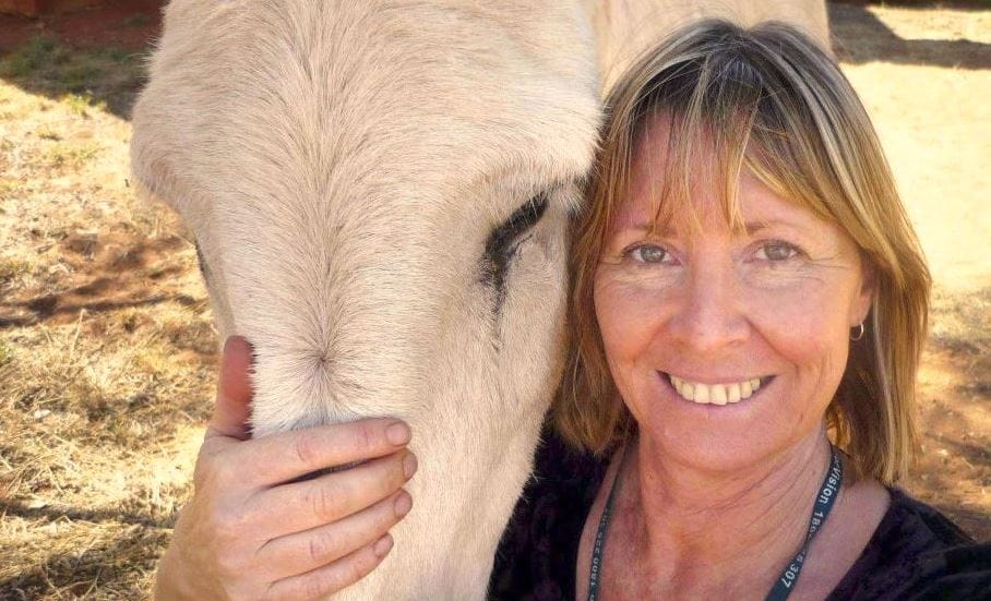 NT remote area nurses to be accompanied on house calls after numerous attacks post image