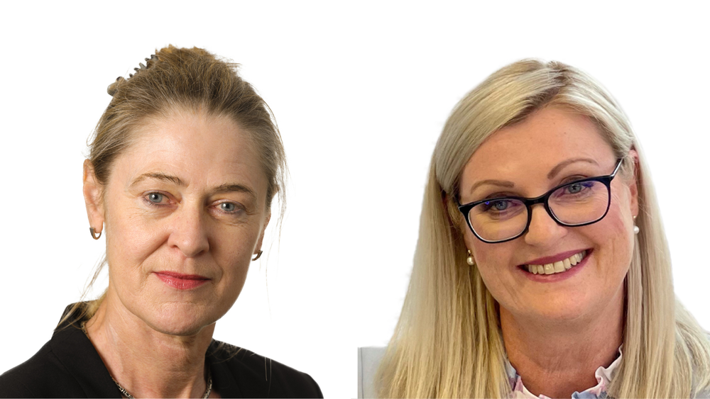 Goodwin appoints Laurann Yen as Chair to replace Liesel Wett OAM post image