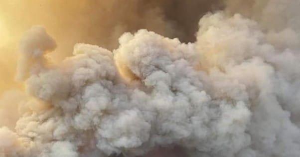 Aged care providers warned to have emergency plans in place for bushfire season post image