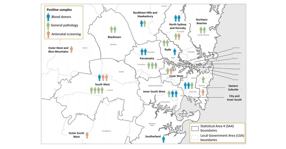 Sydney had triple the COVID-19 infections diagnosed, study finds post image