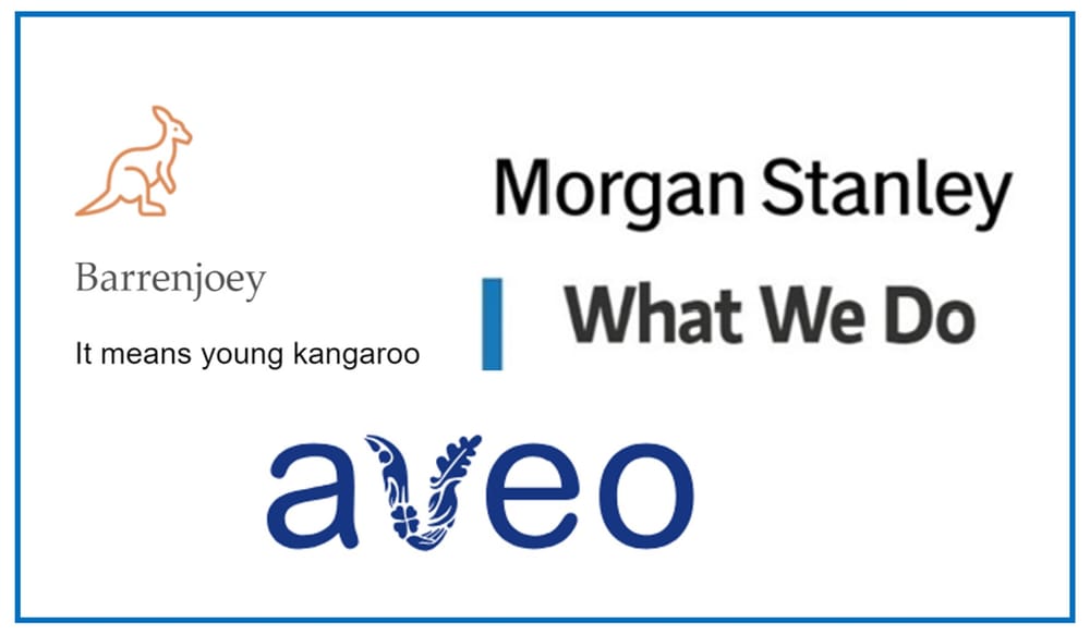 Barrenjoey and Morgan Stanley picked to market Aveo for $3B post image