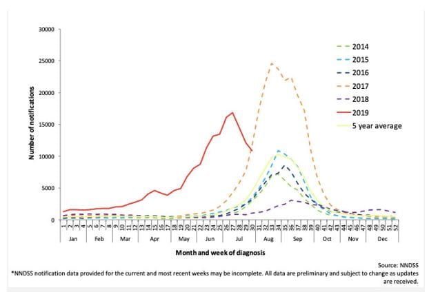 Flu – and coronavirus – through to October? post image