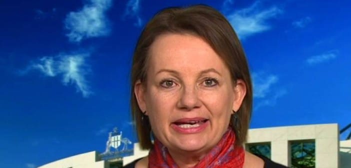 QLD RV rejected under Australia’s environmental protection laws post image