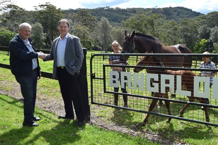 Living Choice moves forward on new horizontal village at Avoca Beach (NSW) post image