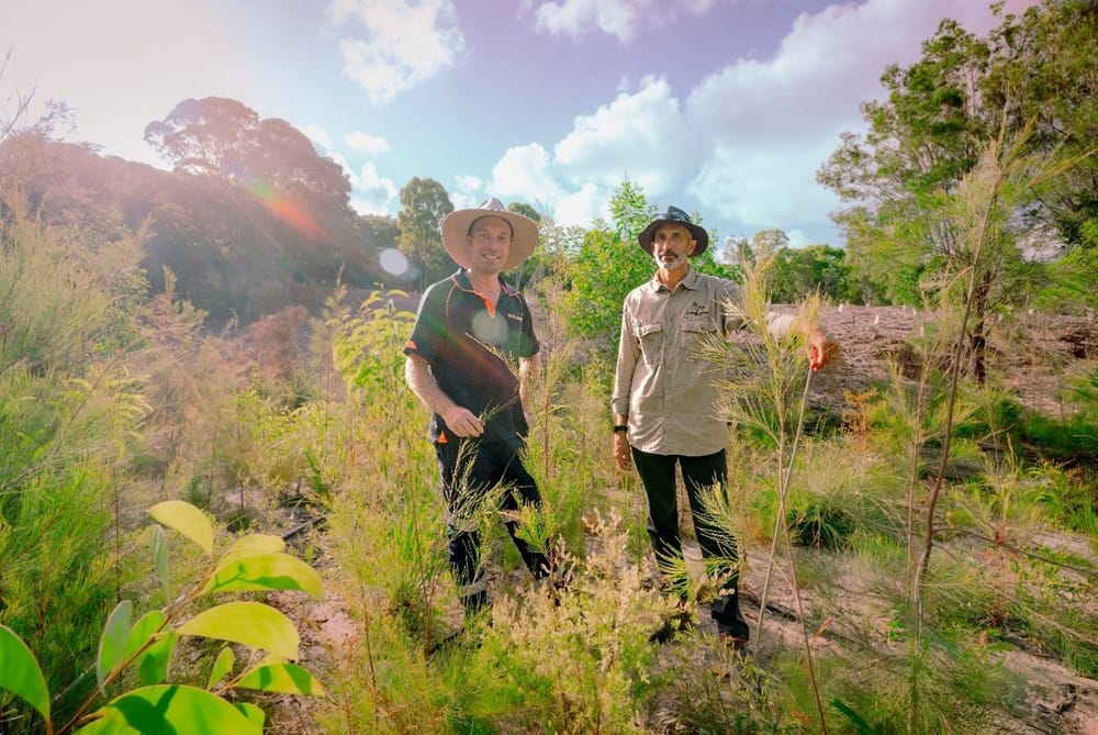 Keyton plant 1000 trees in major rehabilitation effort at its Sunshine Coast village development post image