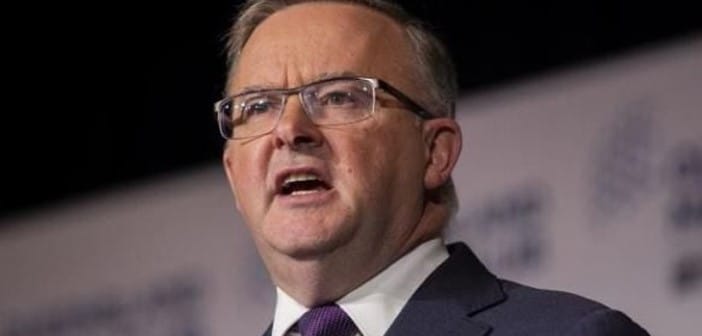 Aged care crisis years in the making on government watch – Opposition Leader post image