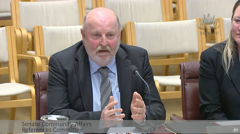 Clients left without services as providers warn of ‘slow death’ for CHSP post image