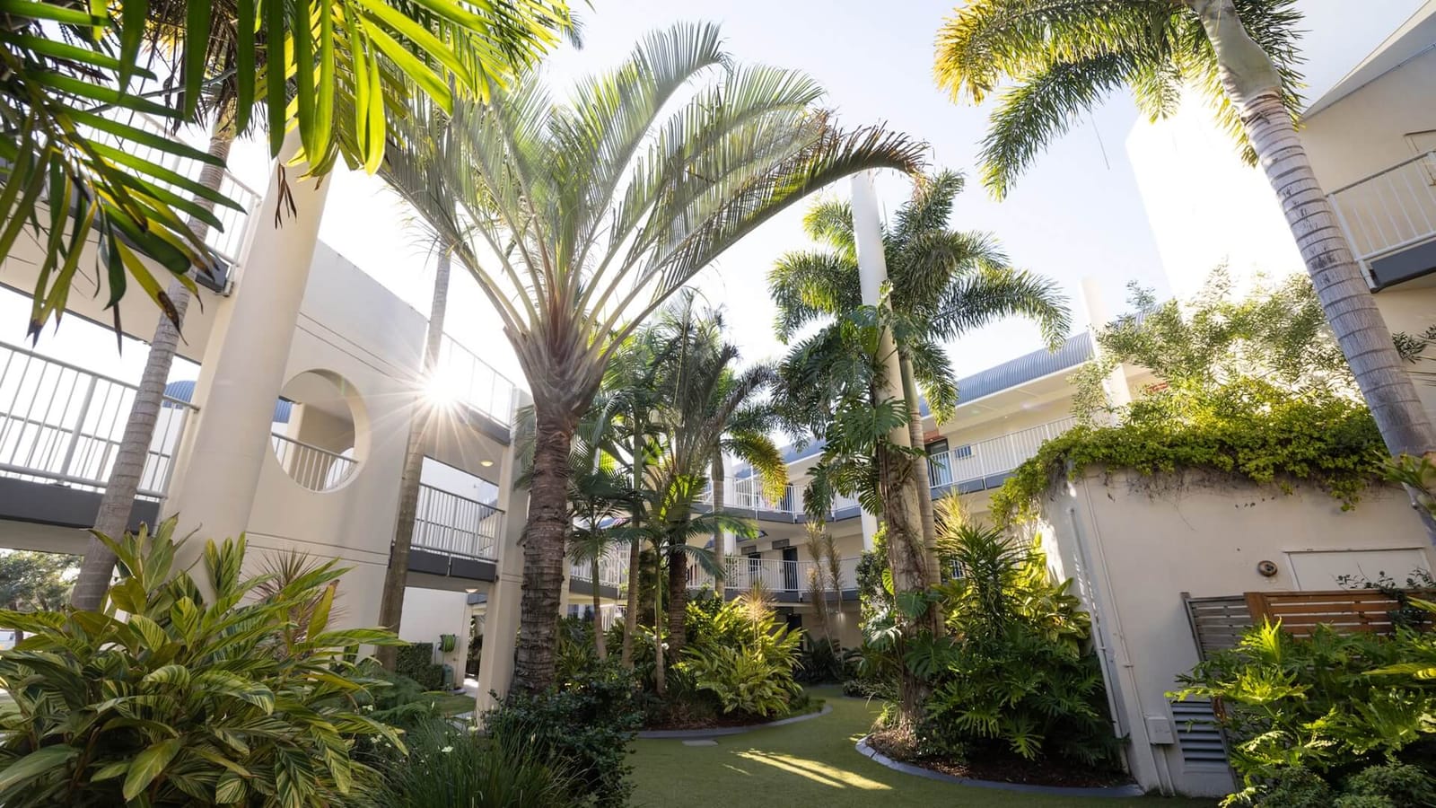 Hospital aged care ‘blockers’ moved into theme park post image